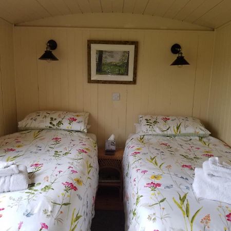 Rhydydefaid Cwt Clyd - Cosy Hut Bala Exterior foto