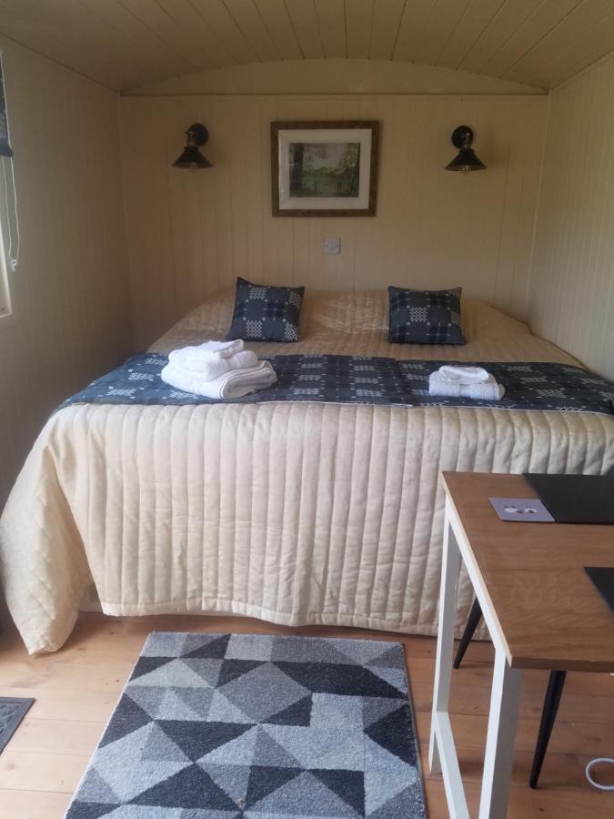 Rhydydefaid Cwt Clyd - Cosy Hut Bala Exterior foto