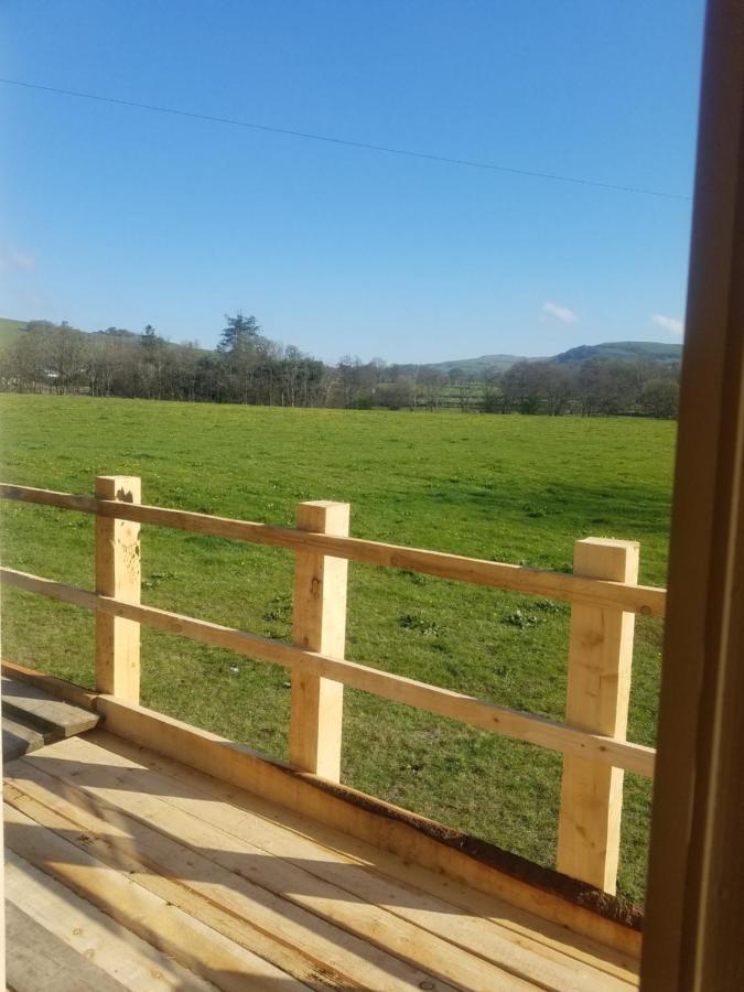 Rhydydefaid Cwt Clyd - Cosy Hut Bala Exterior foto