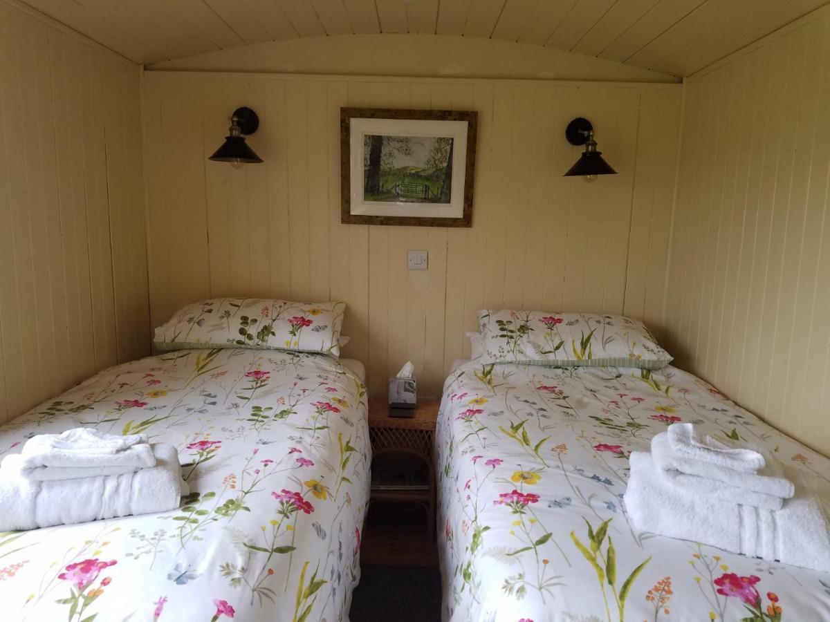 Rhydydefaid Cwt Clyd - Cosy Hut Bala Exterior foto